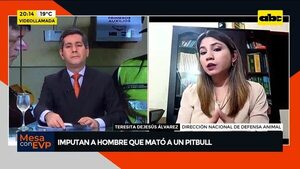 Video: Imputan al hombre que mató a puñaladas a pitbull en Capiatá - Mesa de Periodistas - ABC Color