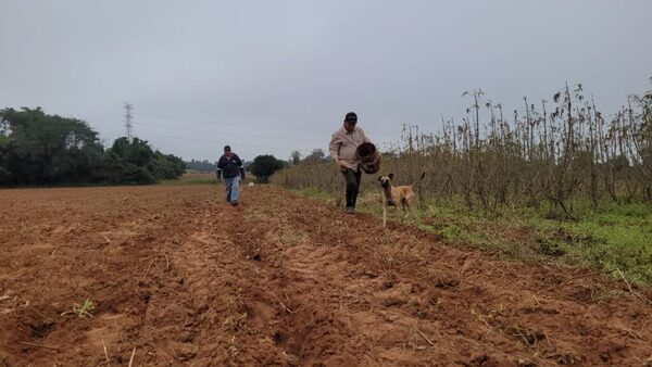 Pequeños productores agrícolas de Misiones resaltan buenos resultados con proyectos de recuperación de suelos