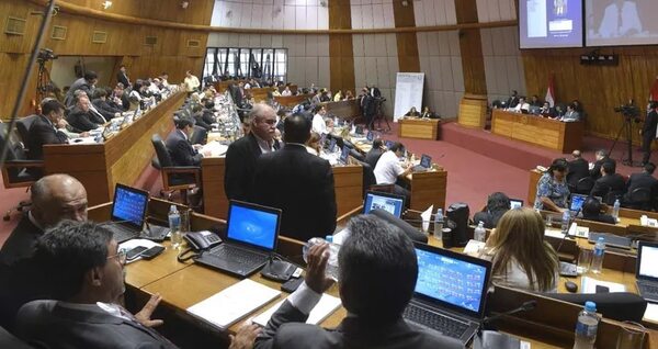 Los exparlamentarios que no presentan sus declaraciones juradas - Política - ABC Color