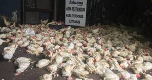 La Nación / FAO y Senacsa ejecutarán fondos para eventuales pandemias