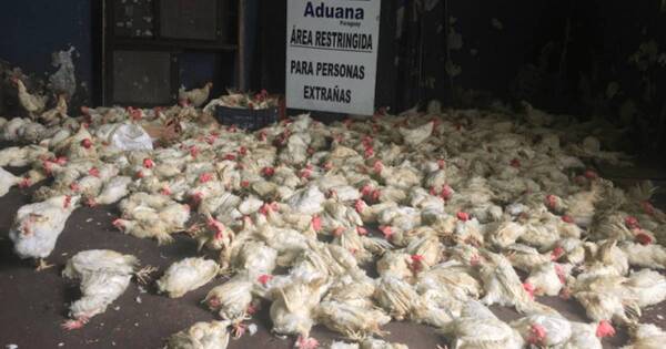 La Nación / FAO y Senacsa ejecutarán fondos para eventuales pandemias