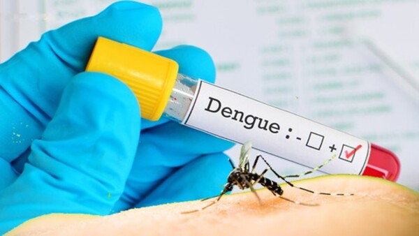 Inusual número de casos de dengue y chikungunya para esta época del año - El Independiente
