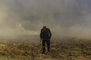 El calor extremo inflama el Mediterráneo en un mes de julio de temperaturas récord - Mundo - ABC Color