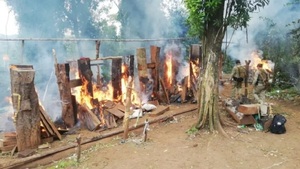 Inutilizan 4 toneladas de marihuana en Itapúa - Noticias Paraguay