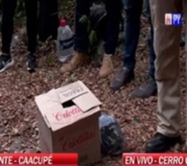 Cráneo hallado no tiene piezas dentarias y ralentiza reconocimiento - Paraguay.com
