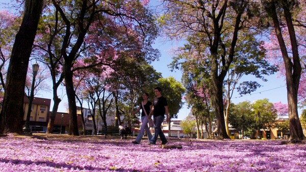 Lo que la política debe encarar en materia ambiental