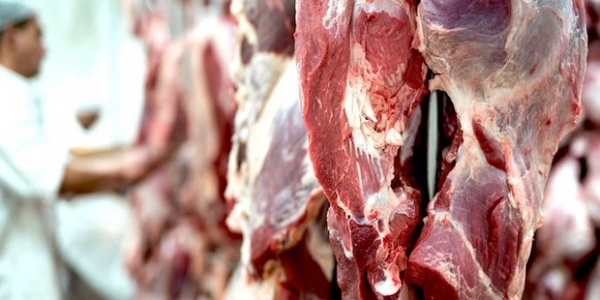 Culmina con resultados positivos auditoría para exportación de carne bovina y porcina a Bolivia