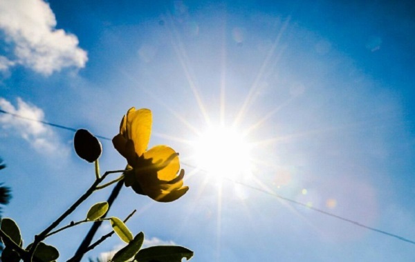 Pronostican un domingo cálido y soleado