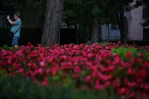 La fertilización en las plantas con flores en un revelador mecanismo - Ciencia - ABC Color