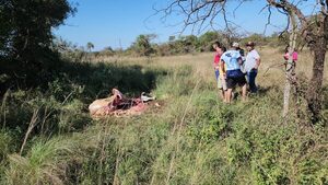 Faenan una vaca lechera de una pobre mujer