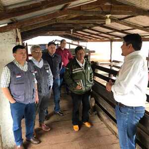 Ingreso de carne paraguaya a Bolivia: finaliza auditoría con resultados positivos