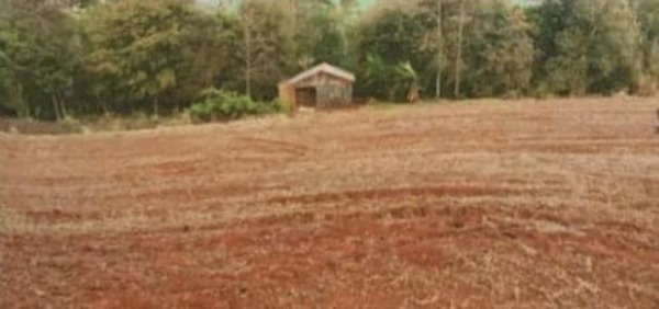 Procesan a sojero por incumplir normas ambientales - La Clave