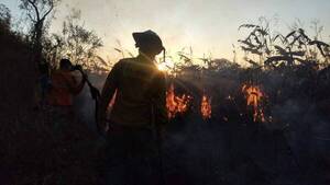 De la nada se prendió todo y bomberos forestales tuvieron que ir a calmar la cosa