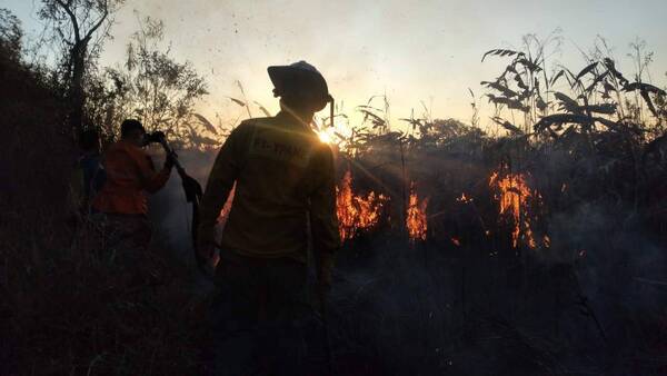 De la nada se prendió todo y bomberos forestales tuvieron que ir a calmar la cosa