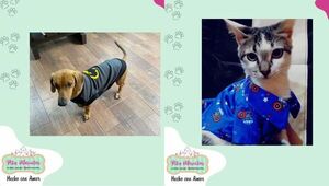 DC se muere de envidia: Pitu Mascotas obtiene 60% de aceptación con prendas de superhéroes
