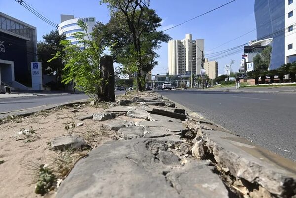 Se recibirá a rey y presidentes en una Asunción que se cae a pedazos - Nacionales - ABC Color