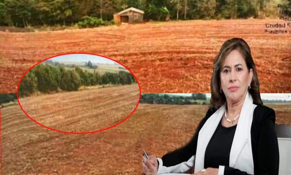 Imputan a un sojero brasileño por delitos ambientales en su establecimiento en Iruña – Diario TNPRESS