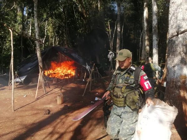 Operación Nueva Alianza: con 39 acciones simultáneas, eliminan 60 toneladas de marihuana - Nacionales - ABC Color