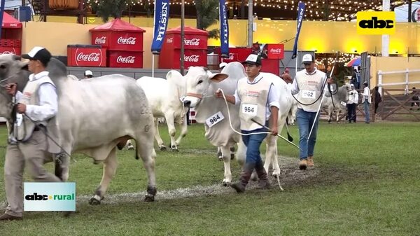 Video: Mas de G. 12.000 millones en remates de la Expo Mariano 2023 - ABC Rural - ABC Color