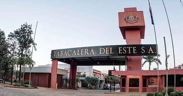 La Nación / SET anuncia a Tabesa como mayor aportante privado de impuestos