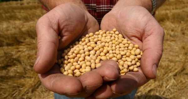 Recuperación del agro empuja el crecimiento económico