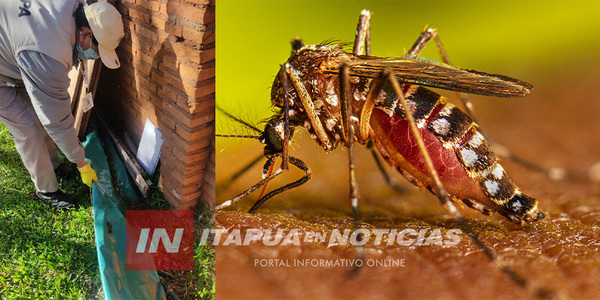 MARCADO DESCENSO DE CASOS POSITIVOS DE ARBOVIROSIS EN ITAPÚA - Itapúa Noticias