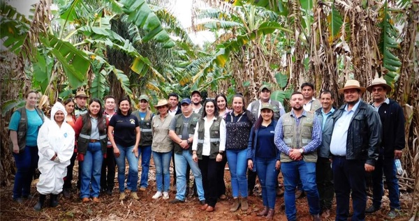 Técnicos del Senave desarrollan jornada de capacitación a productores bananeros de Guajayvi - .::RADIO NACIONAL::.