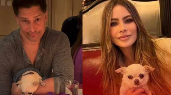 Divorcio de Sofía Vergara se trancó por una pelea por su mascota