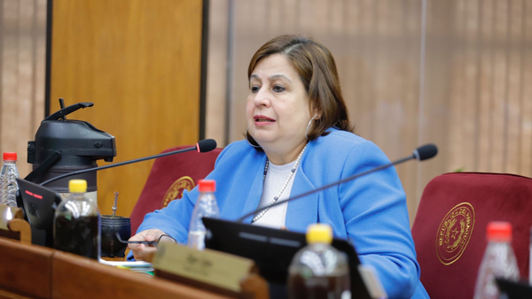 Modelo Cartes-Peña: Esperanza advierte sobre interés en privatizar la salud