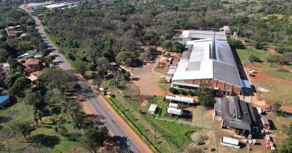La Nación / Hubo una fuga de gas en una planta industrial