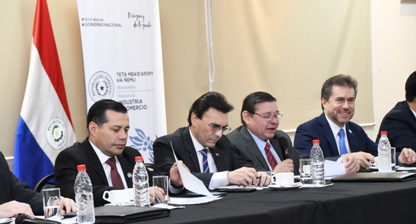 Avanza el proyecto de la industria automotriz eléctrica en el país