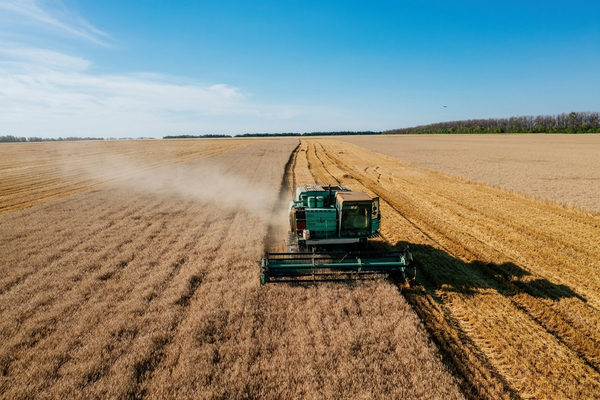 Apuntan al desarrollo sostenible del Chaco a través de investigaciones en agroecosistemas