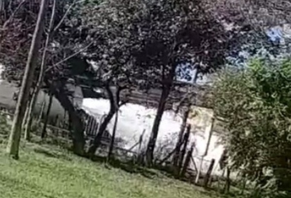 Diario HOY | Restablecieron seguridad en fábrica que sufrió fuga de gas