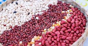La Nación / Mañana inicia congreso de semillas que busca más participación de agricultores