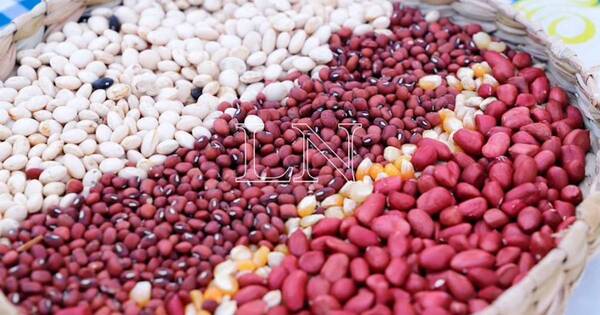 La Nación / Mañana inicia congreso de semillas que busca más participación de agricultores