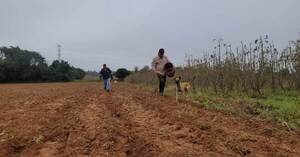 Pequeños productores agrícolas de Misiones resaltan buenos resultados con proyectos de recuperación de suelos