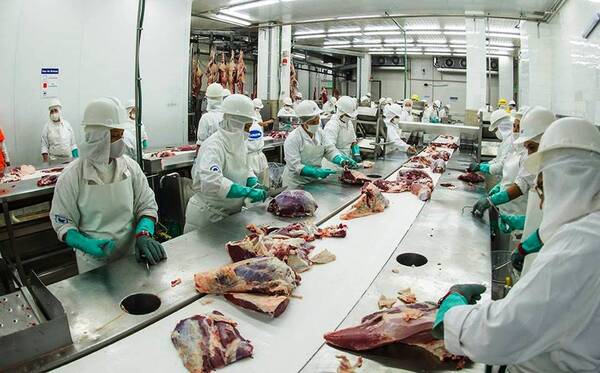 En junio de 2023, exportaciones de bienes agroindustriales llegan a US$ 1.778 millones - Revista PLUS
