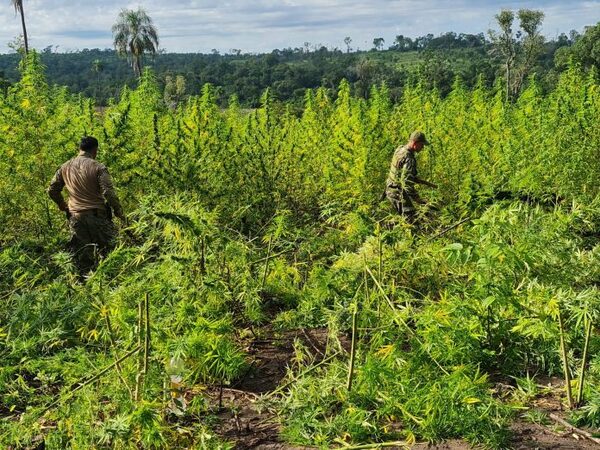 Golpe financiero de Nueva Alianza 39 se acerca a los US$ 6 millones tras tercer día de operaciones