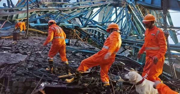 La Nación / India: 20 obreros pierden la vida al colapsar una grúa