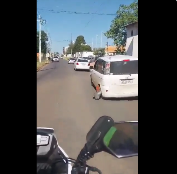 (VIDEO) Conductor corrió con el cepo puesto pero un “zorro” lo persiguió