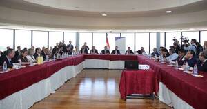 La Nación / Congreso conforma delegación paraguaya del Mercosur