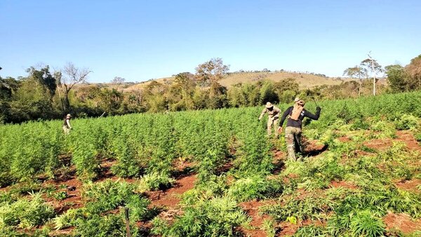 El Operativo “Nueva Alianza 39” lleva tres días de operaciones en el interior del país