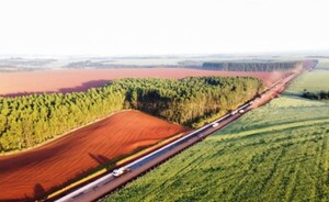Obras en el Lote 2 rural del CMDE alcanzaron 21% de avance