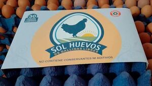 Sol Huevos apuesta por gallinas sin estrés y libres de jaulas (producen 28.000 huevos diarios)