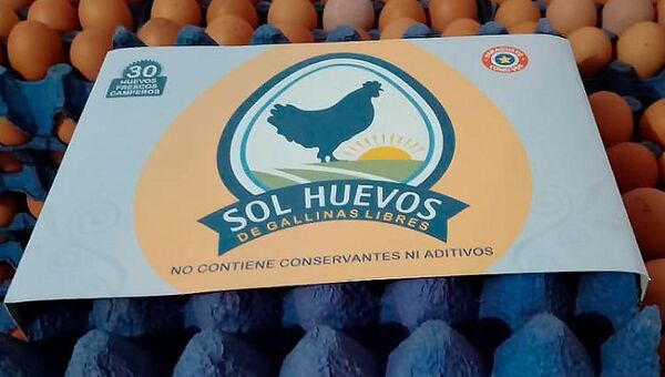 Sol Huevos apuesta por gallinas sin estrés y libres de jaulas (producen 28.000 huevos diarios)