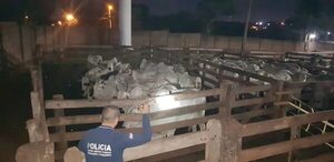 Animales ingresados presuntamente de contrabando del Brasil fueron hallados en matadero de Pedro Juan - Policiales - ABC Color