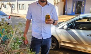 Generación de empleo y acceso a educación superior, propone candidato en Santa Rita – Diario TNPRESS