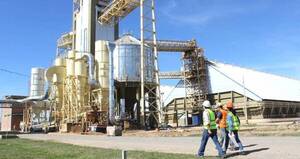 Primer semestre cerró con una leve mejoría en la industria aceitera nacional