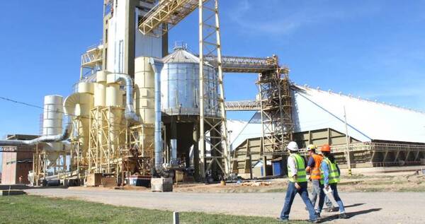 Primer semestre cerró con una leve mejoría en la industria aceitera nacional