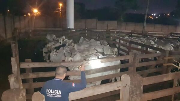 Intervienen Matadero Municipal de Pedro Juan ante sospecha de ingreso de vacunos de Brasil